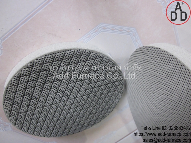 RGX diameter 129mm ceramic honeycomb(9)